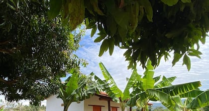 Cabaña Naranja