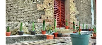 Hacienda Don Pedrillo