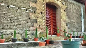 Une cour avec un mur en pierre, une porte rouge et des cactus en pot.