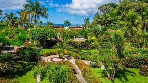 Un jardí exuberant amb palmeres, un parterre circular i una vista despejada de l'oceà.