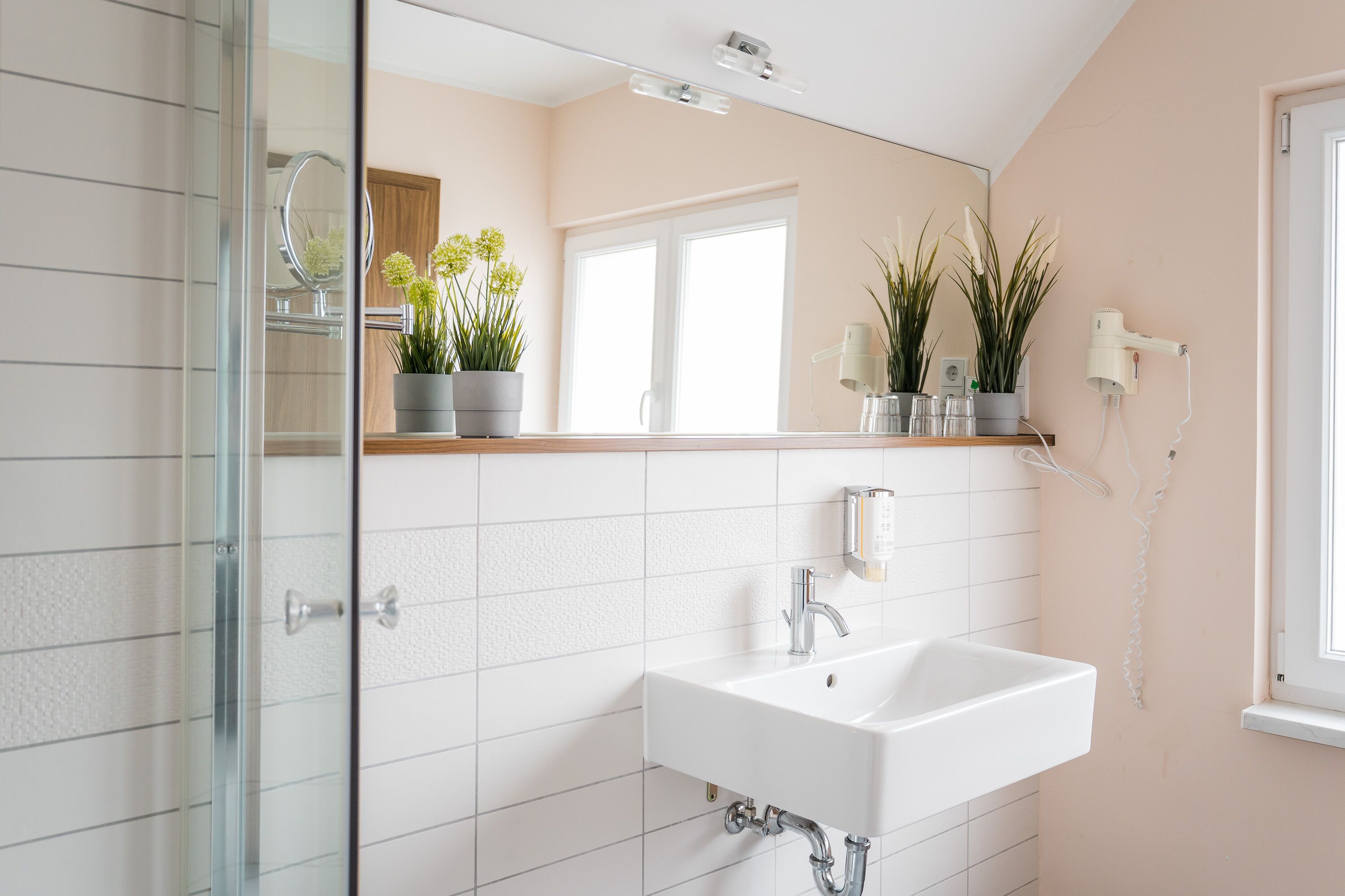 Een badkamer met een douchecabine van glas, een witte wastafel met een spiegel erboven en plantenpotten op het aanrecht.