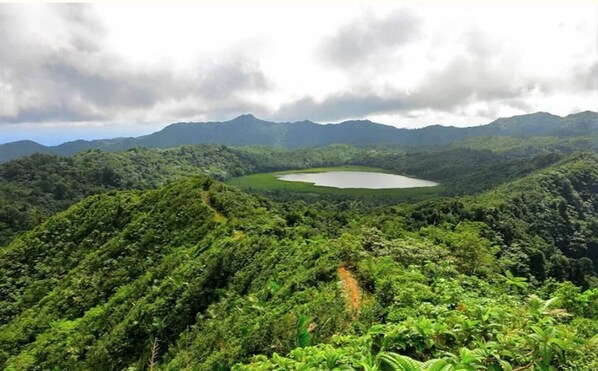 A lush green landscape with a lake surrounded by dense forest and mountains in the background.