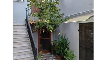 Un escalier étroit, dont les marches sont recouvertes de carreaux, mène à une porte. Des plantes en pot et un arbre aux fruits jaunes l’entourent.