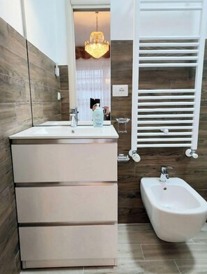 Shower, hair dryer, bidet, towels