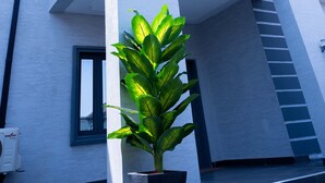 A modern two-story building with large windows and a potted plant in the foreground.