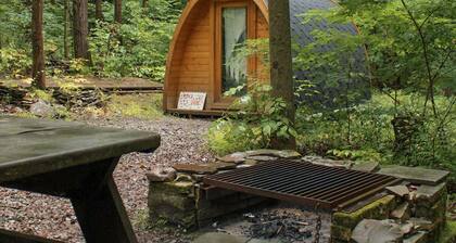 White Pine Rustic Camping Cabin