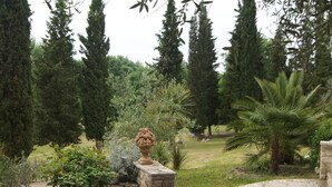 A garden with a stone planter, various shrubs, and tall trees. - Charming cocoon for 4p in nature, space, infinity pool (Châteauneuf-Grasse)