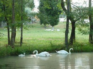 Ulkoalueet