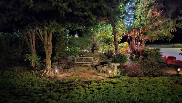 Un jardín con banco de madera, muro de piedra y diversas plantas.