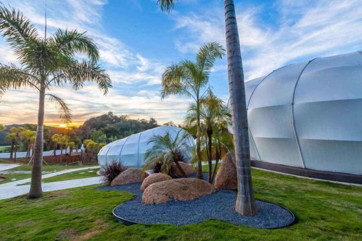 A modern building with a dome structure, surrounded by palm trees and rocks.
