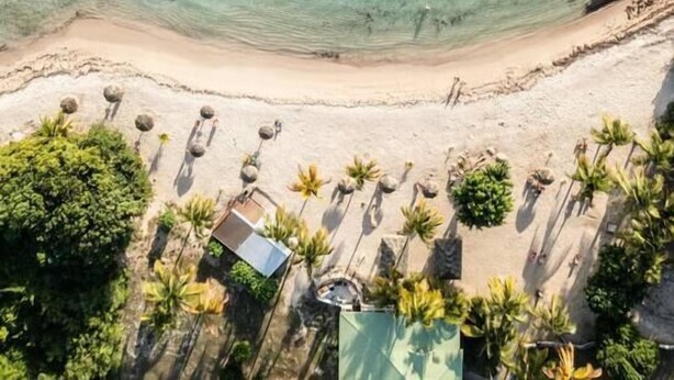 Vista aérea de uma praia com águas turquesa cristalinas, afloramentos rochosos e uma fileira de palmeiras ao longo da costa.