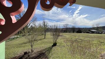 A view through a window with a decorative frame, featuring a grassy field with trees and a clear sky.
