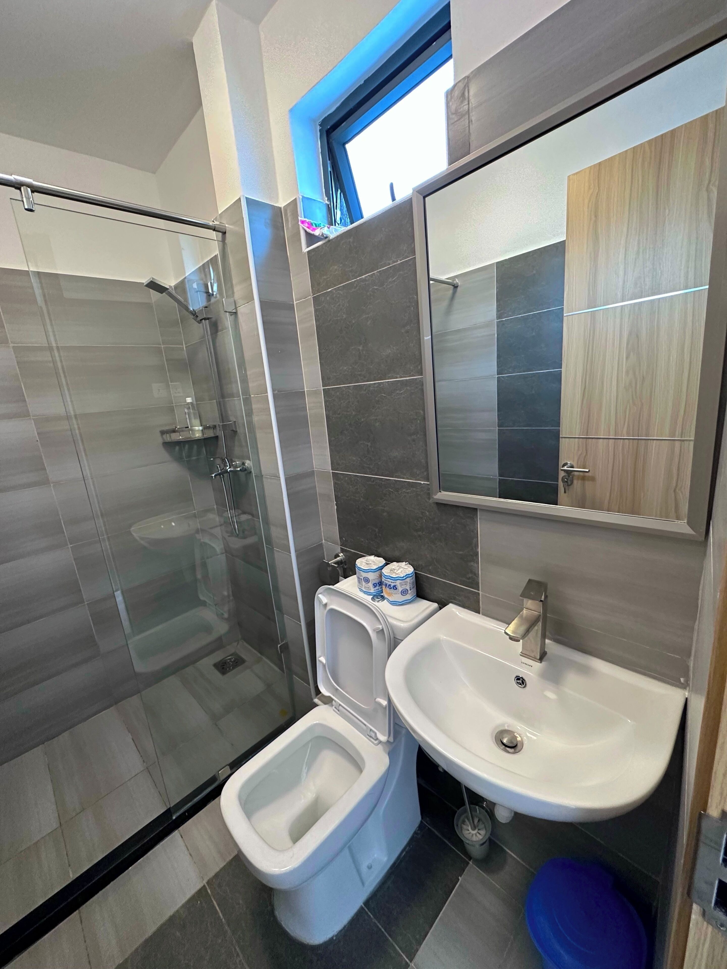 A modern bathroom with a glass shower enclosure, a toilet, a sink, and a mirror.