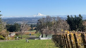 Une vue sur une montagne, avec un ciel dégagé.