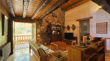 TV, fireplace, video-game console, DVD player