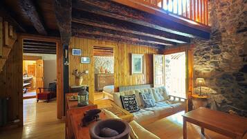 TV, fireplace, video-game console, DVD player