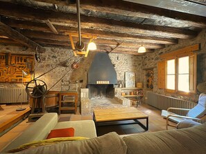 TV, fireplace, video game console, DVD player