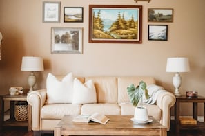 Smart TV, DVD player, books
