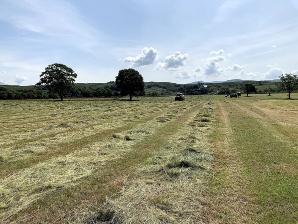 Un paysage rural avec un tracteur au loin, des champs et des arbres.