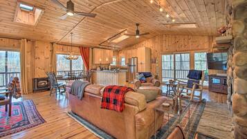 TV, fireplace, books