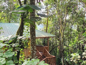 Premium bedding, iron/ironing board, bed sheets - Buhoma Gorilla Camp  (Bwindi)