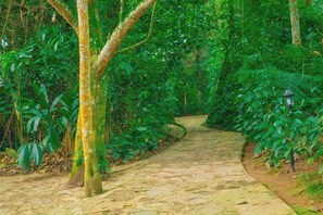 A stone pathway through a lush green forest. - Buhoma Gorilla Camp  (Bwindi)