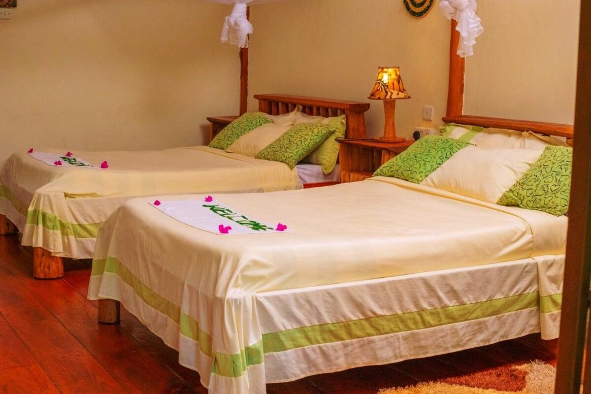 Premium bedding, iron/ironing board, bed sheets