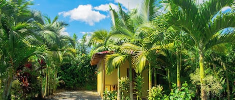 Cabaña panorámica, 1 habitación, vistas a la montaña (Colibri Room) | Terraza o patio
