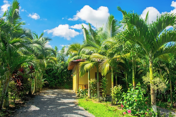 Panoramic Cabin, Mountain View Colibri Room | Terrace/patio