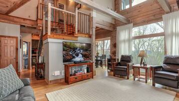 Télévision, cheminée, lecteur de DVD, médiathèque