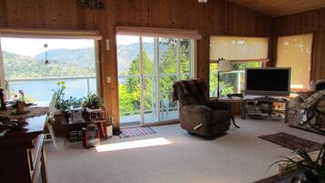 Televisión, reproductor de DVD y libros