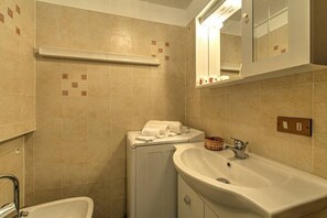 Shower, hair dryer, bidet - APT CLAIRE - Relax with a splendid view (Courmayeur)