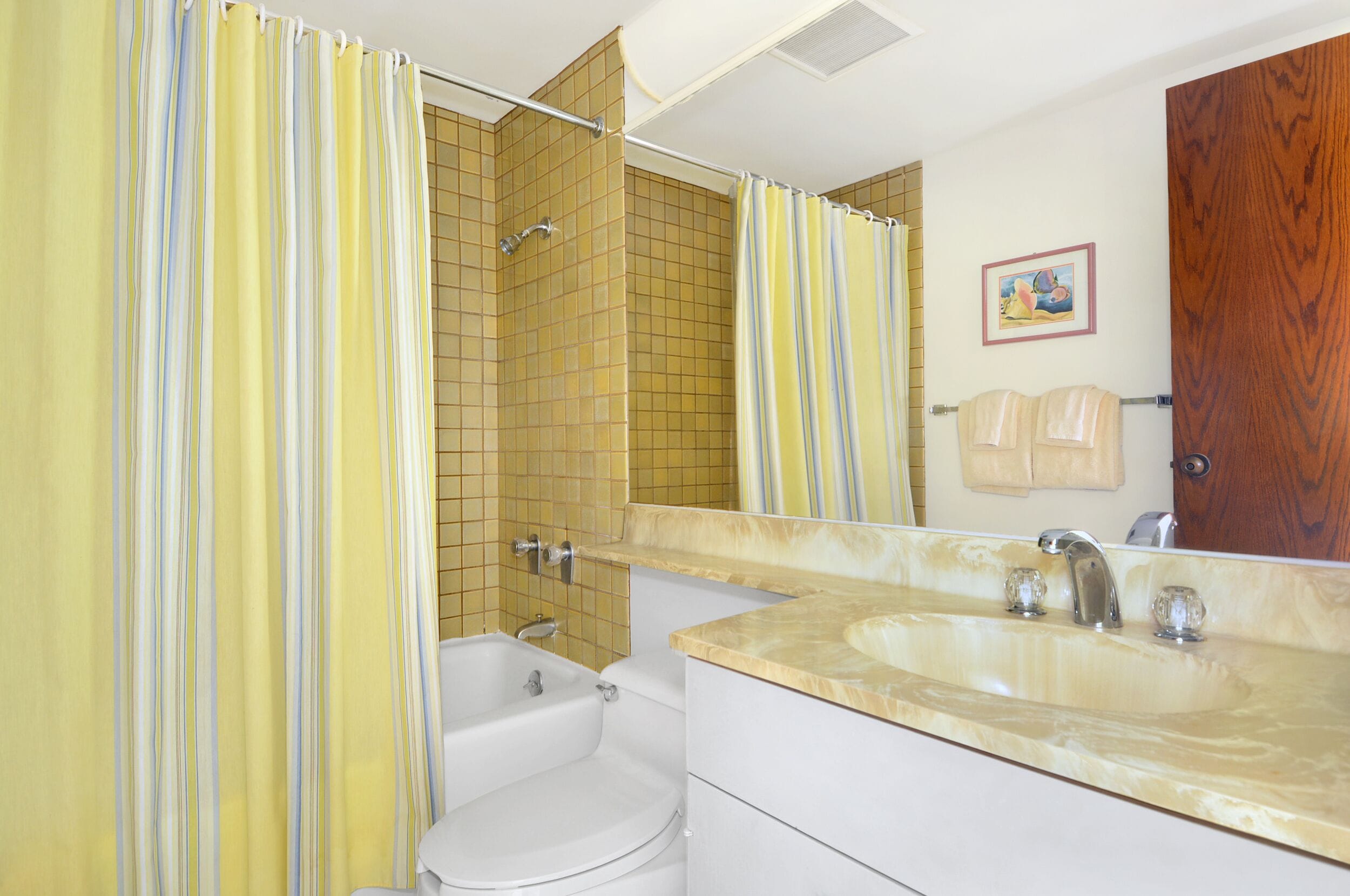 Hair dryer, towels, soap, shampoo