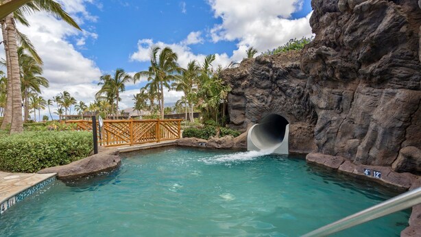 A pool with a water slide, palm trees, and a rocky backdrop.