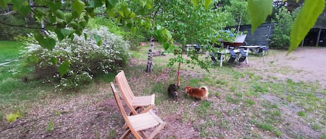 Property grounds