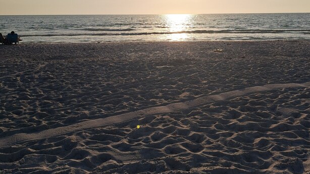 A beach with the sun setting over the horizon, creating a calm and serene atmosphere. - New and luxurious (Tampa)