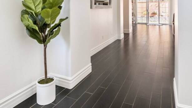 A hallway with a potted plant, white walls, and a dark floor.
