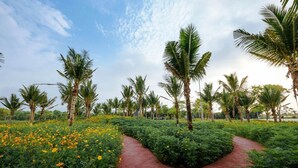A pathway through a garden with palm trees and yellow flowers. - Friendly House QMP - Ecopark (Phung Cong)