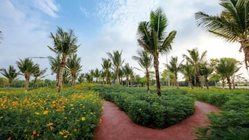 Jardin