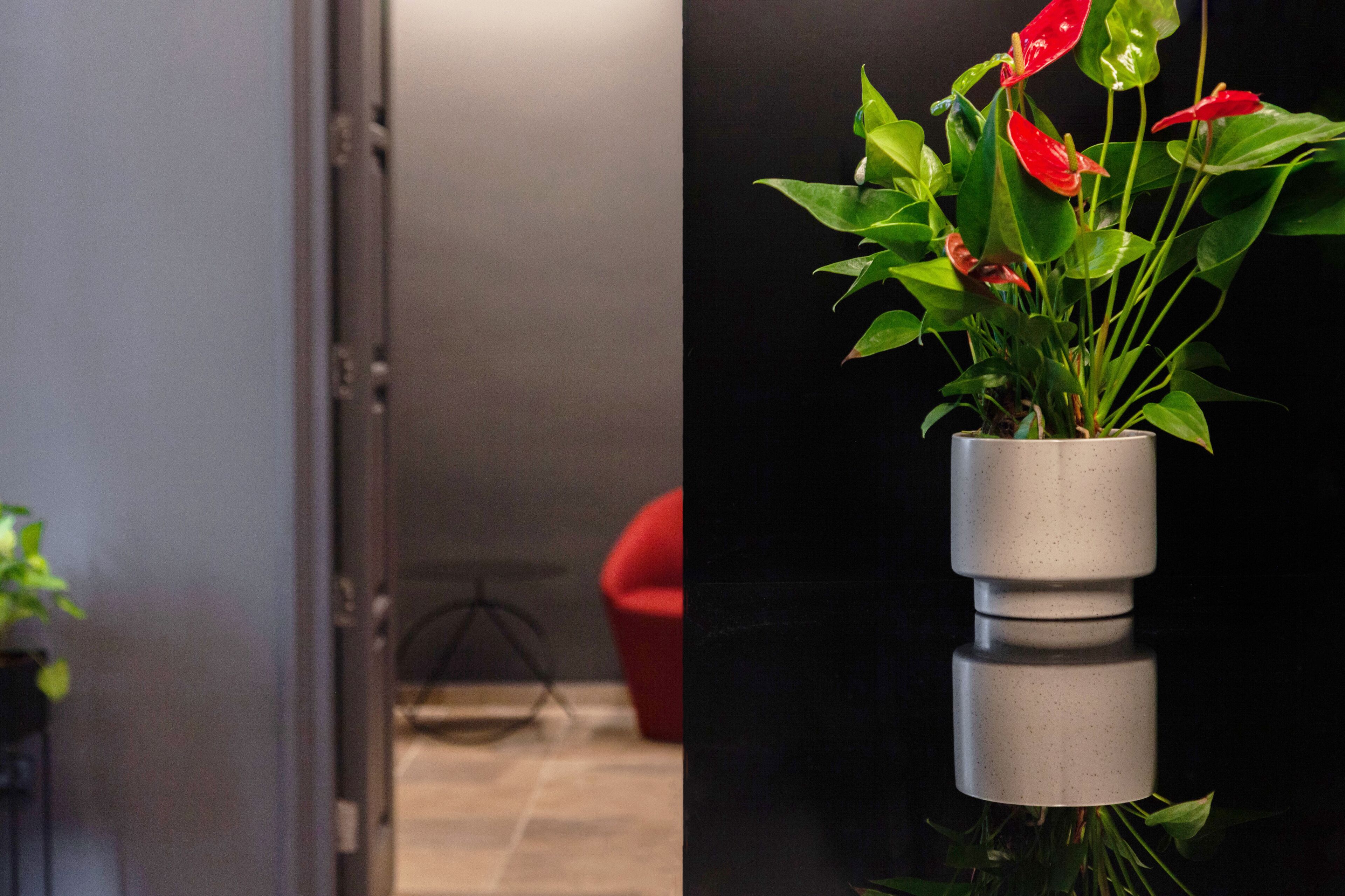 Photo - The Sendal Boutique Hotel