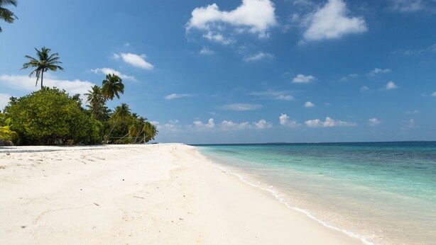 A beach with clear turquoise water, white sand, and palm trees under a blue sky with scattered clouds. - Manta Reserve (Maalhos)
