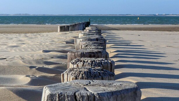A sandy beach with a row of weathered wooden posts leading to the water.