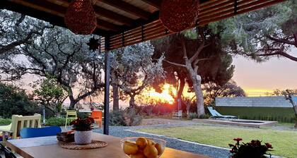 Sleeping in the Historic Bus 15 minutes from Seville surrounded by nature