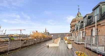 Duplex apartment in the heart of Oslo