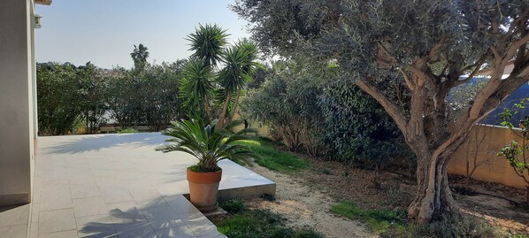 Áreas de la propiedad