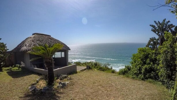 A beachfront property with a thatched-roof structure, a palm tree, and a view of the ocean. - Hilltop Hideaway (eMdloti)