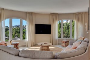 TV connectée, cheminée, livres, chaîne hi-fi