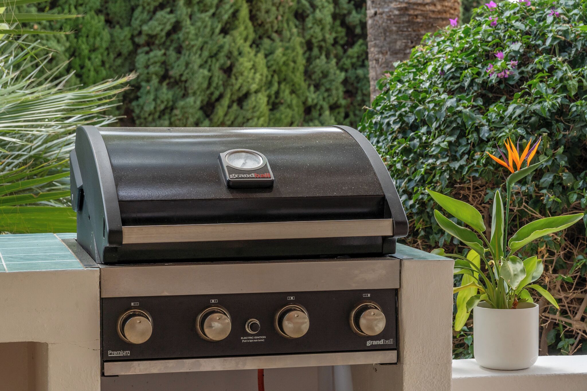 A barbecue grill with a digital thermometer and control knobs, set against a backdrop of lush greenery and a potted plant.