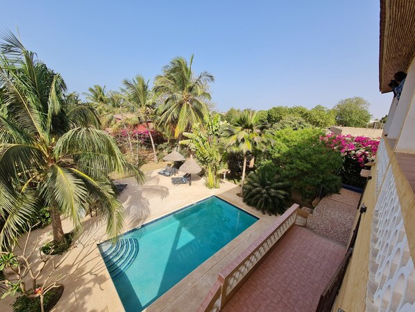 Une piscine entourée de palmiers et de plantes tropicales, sous un ciel bleu azur.