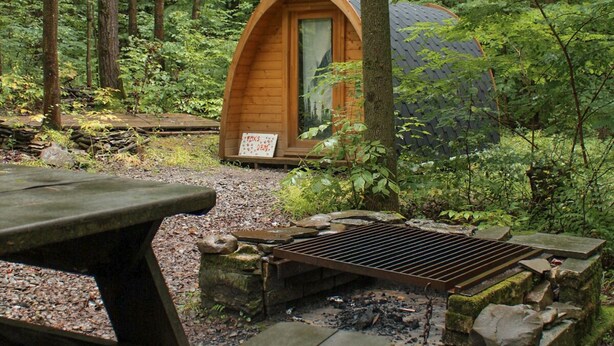 Eine rustikale Holzhütte im Wald, mit einem Picknicktisch und einem Grill in der Nähe.